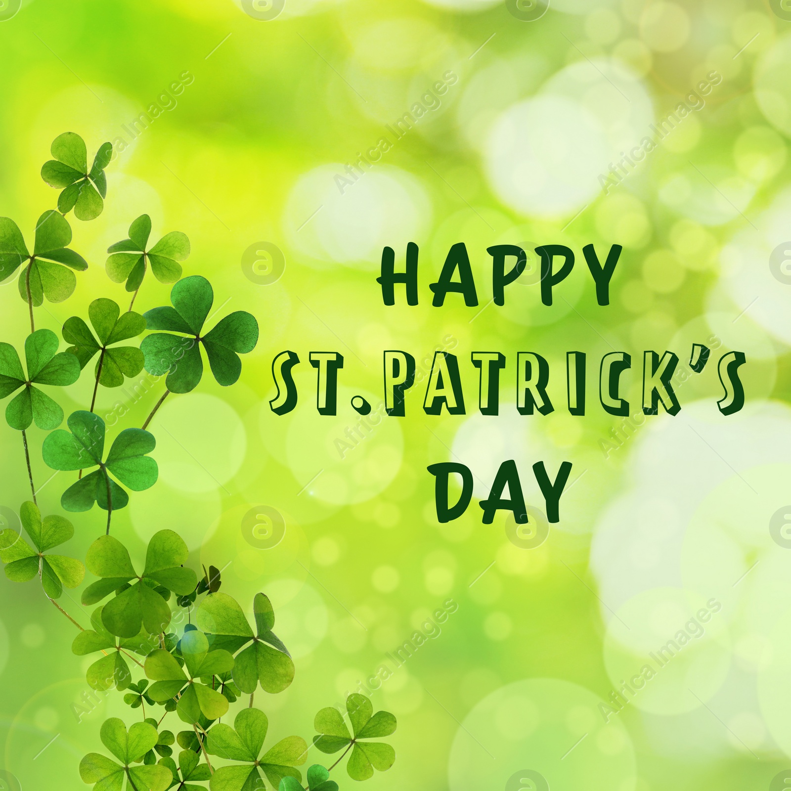 Image of Happy St. Patrick's Day. Clover leaves on green background, bokeh effect