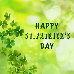 Image of Happy St. Patrick's Day. Clover leaves on green background, bokeh effect