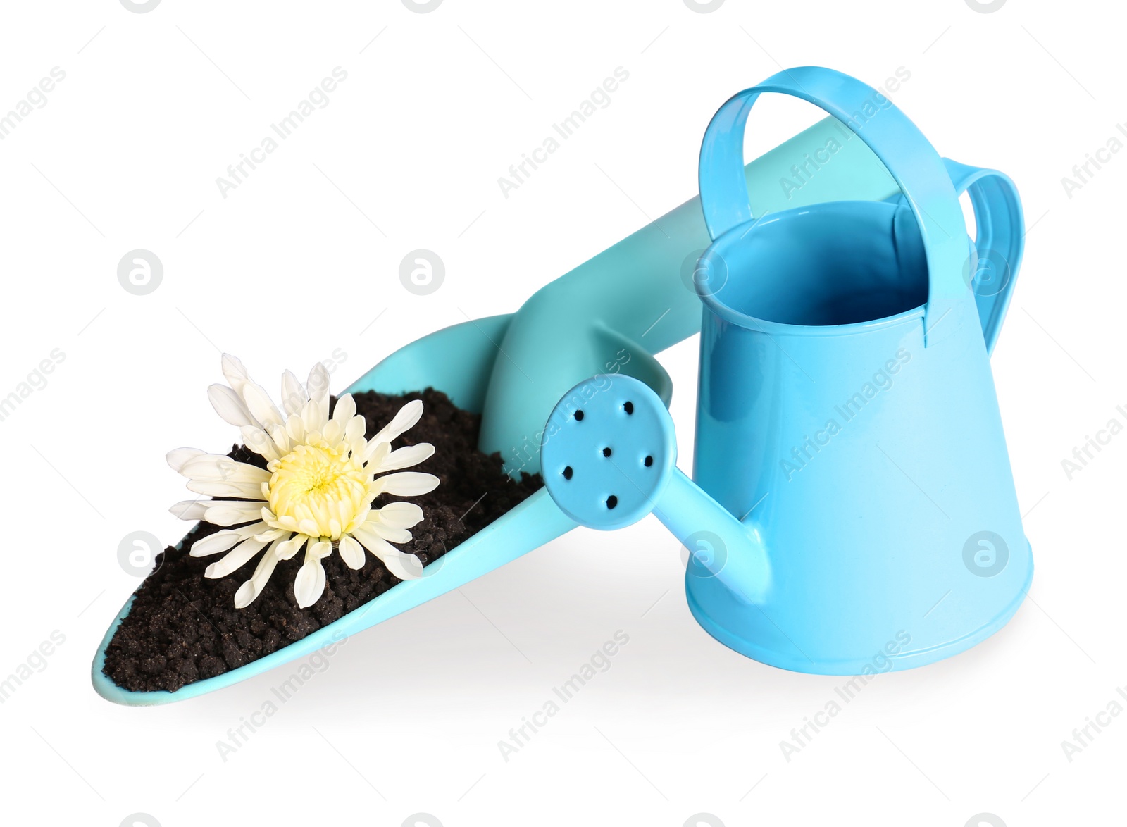 Photo of Watering can with trowel and flower on white background