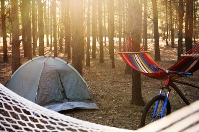 Photo of Empty hammocks, camping tent and bicycle in forest on summer day