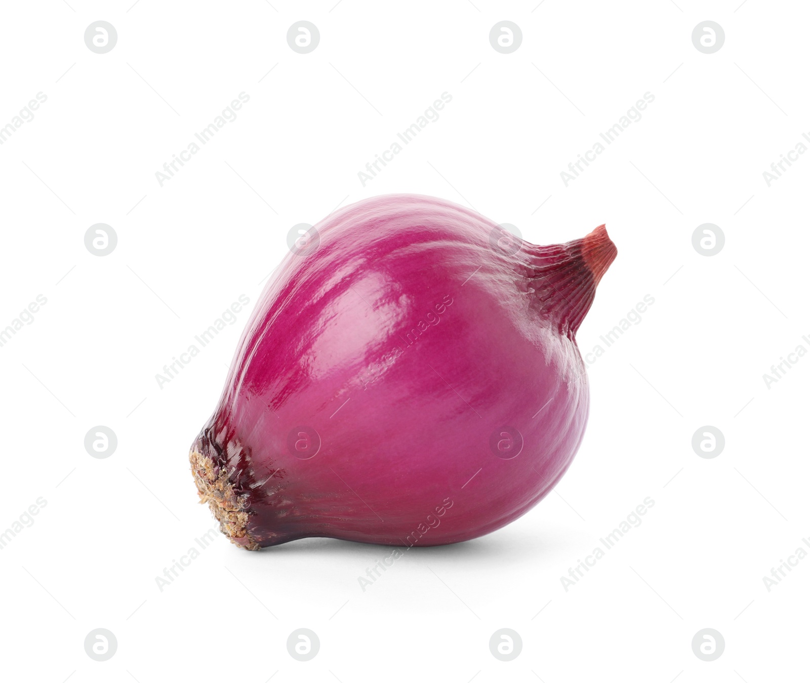 Photo of Fresh red onion bulb isolated on white