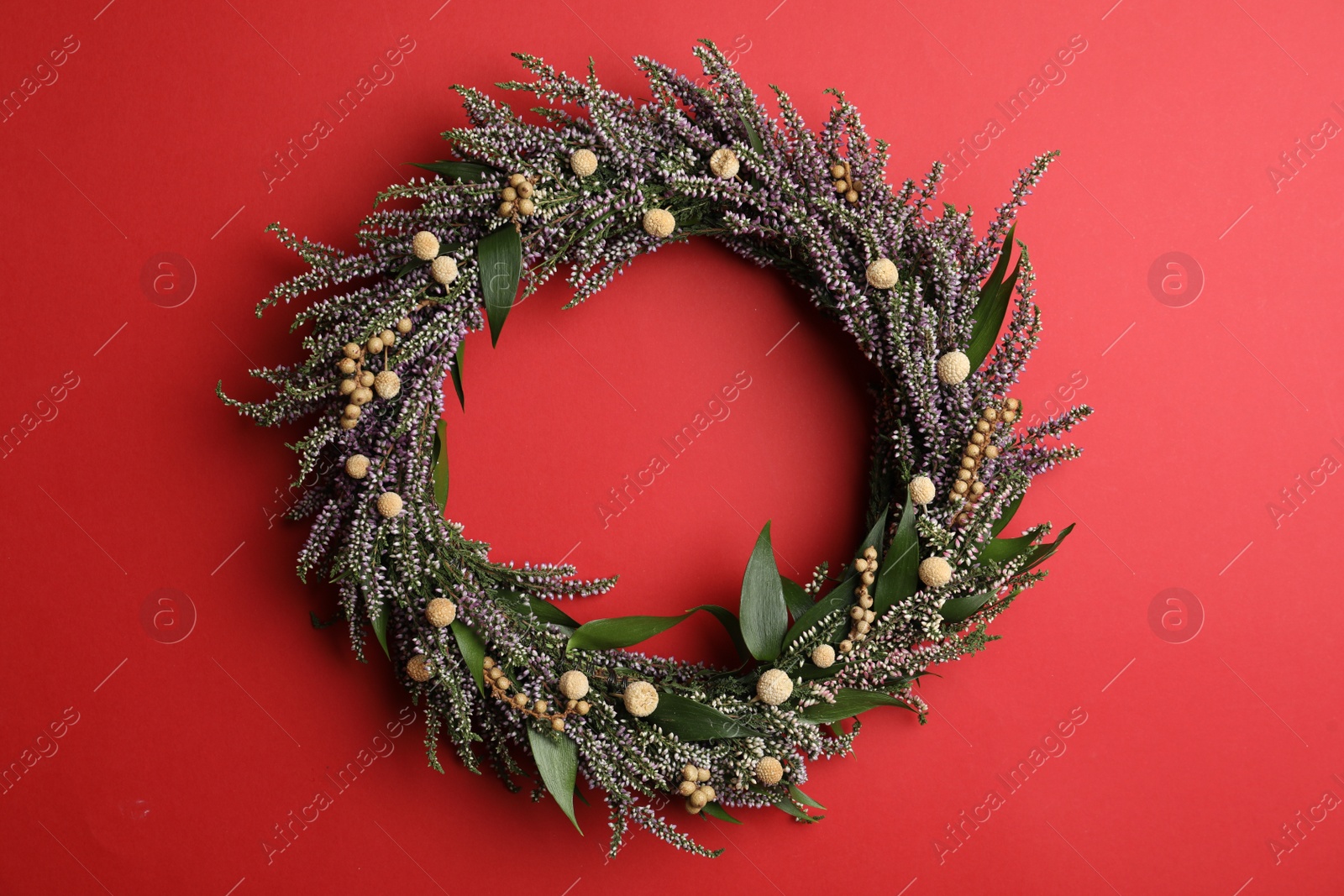 Photo of Beautiful heather wreath on red background, top view. Autumnal flowers
