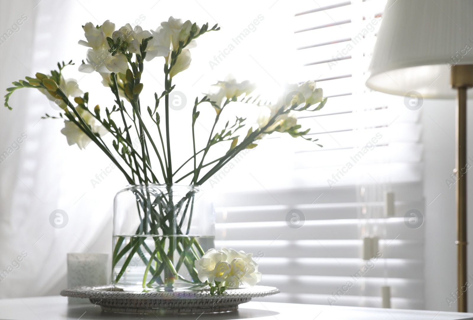 Photo of Beautiful spring freesia flowers on table in room