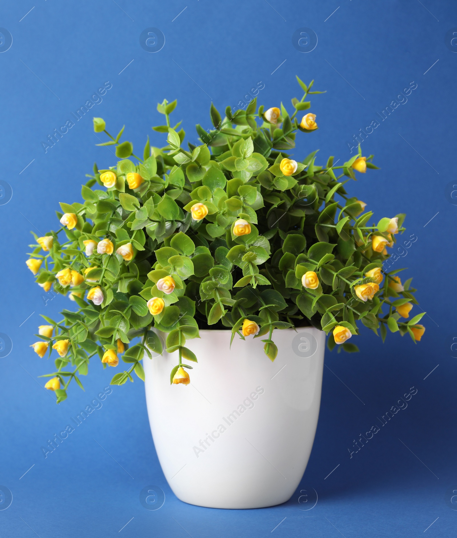 Photo of Beautiful artificial plant in flower pot on blue background