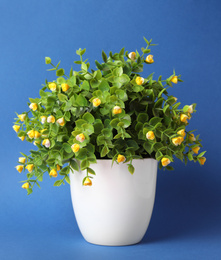 Beautiful artificial plant in flower pot on blue background