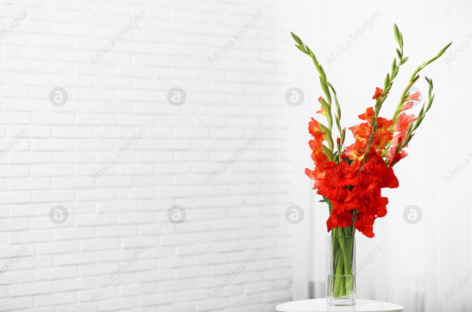 Photo of Vase with beautiful gladiolus flowers on wooden table indoors. Space for text