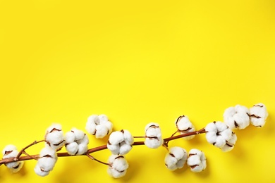 Photo of Fluffy cotton flowers on yellow background, top view. Space for text