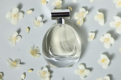 Aromatic perfume in bottle and beautiful jasmine flowers on grey background, flat lay