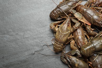 Photo of Fresh raw crayfishes on black table, flat lay. Space for text