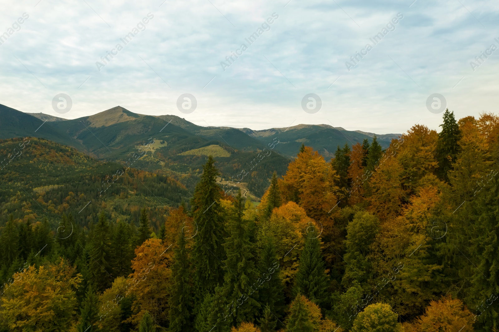 Image of Aerial view of beautiful mountain forest on autumn day