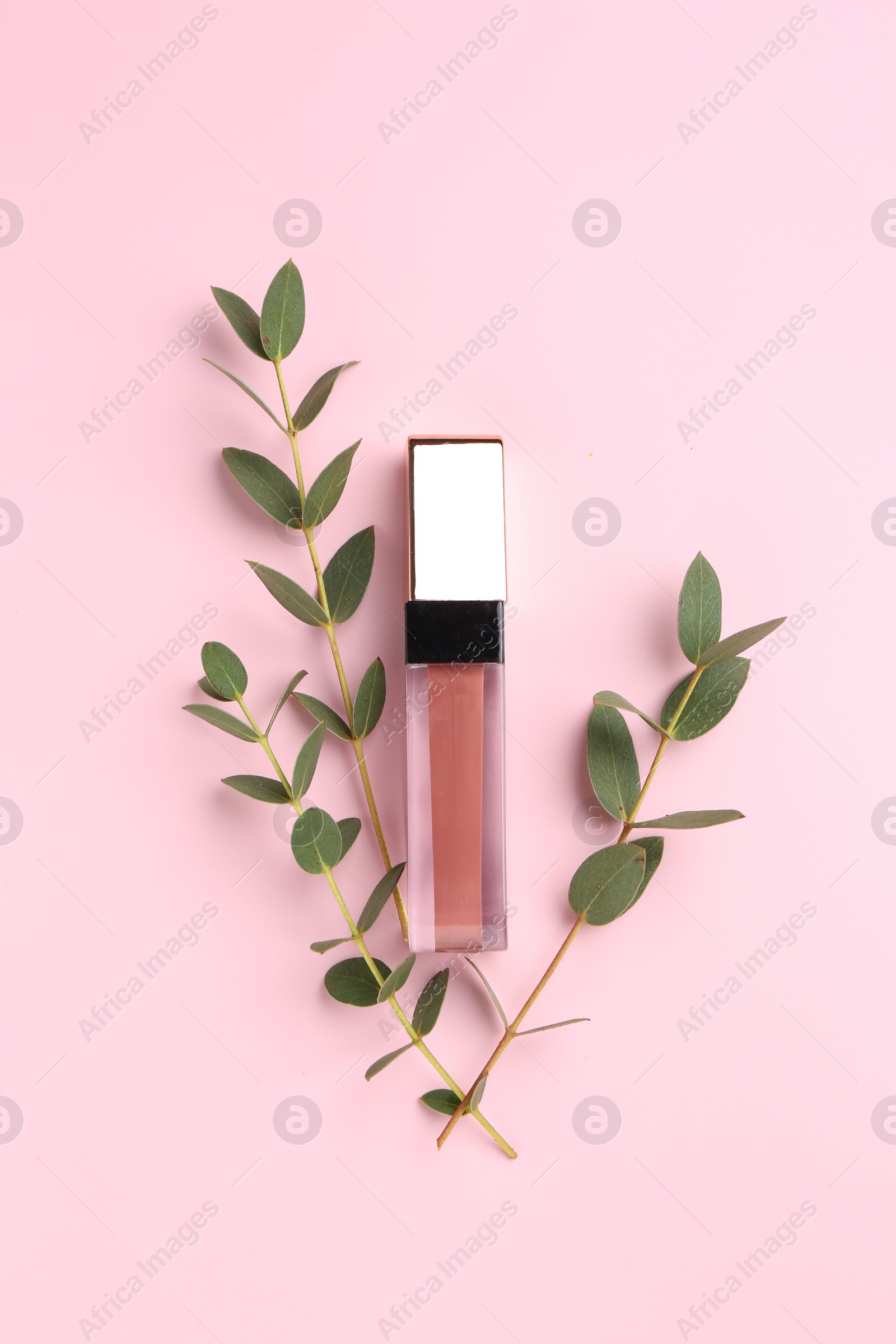 Photo of Bright lip gloss and green twigs on pink background, top view