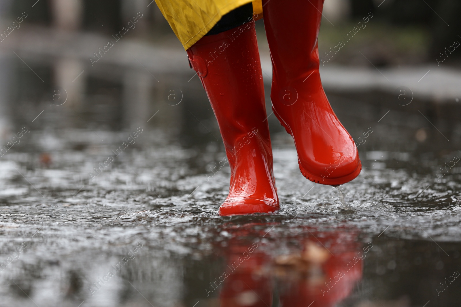 Photo of Woman in rubber boots walking outdoors on rainy day, closeup. Space for text