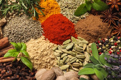 Photo of Different fresh herbs with aromatic spices as background, top view