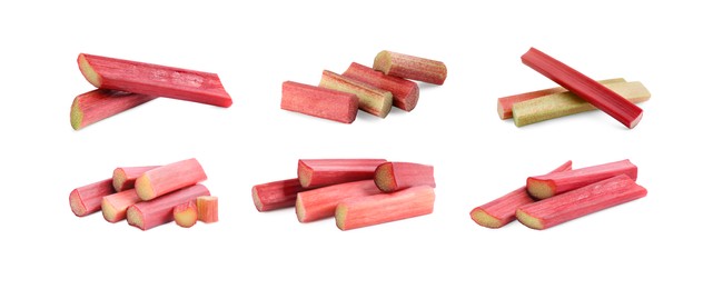 Image of Set with fresh rhubarb stalks isolated on white