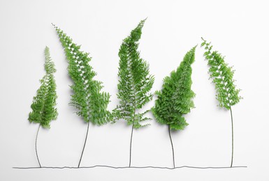 Photo of Flat lay composition with fern leaves on white background. Ecology protection concept