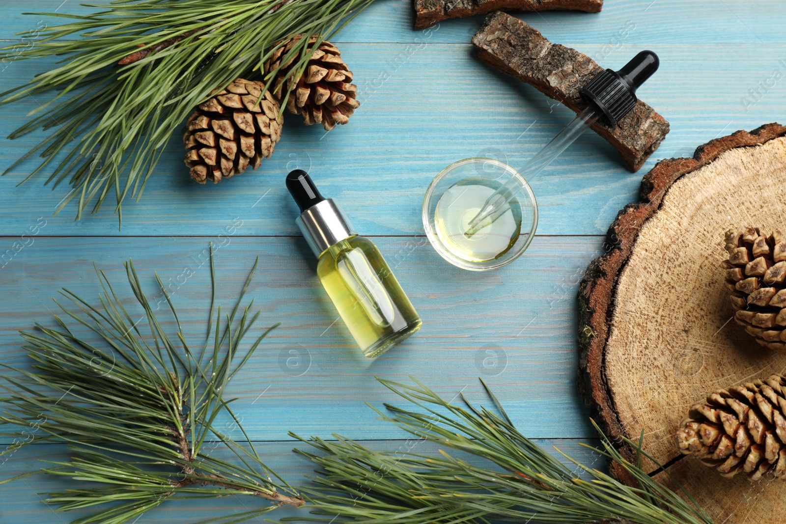Photo of Pine essential oil, cones and branches on light blue wooden table, flat lay