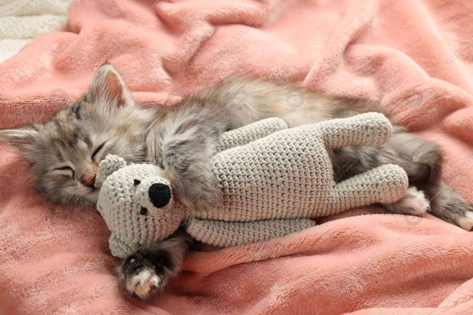 Photo of Cute kitten sleeping with toy on soft pink blanket