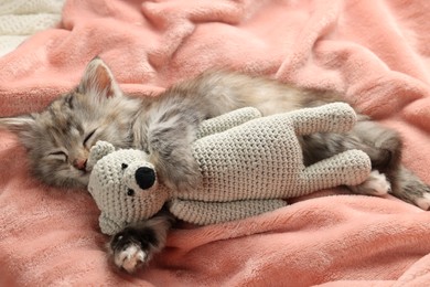 Cute kitten sleeping with toy on soft pink blanket