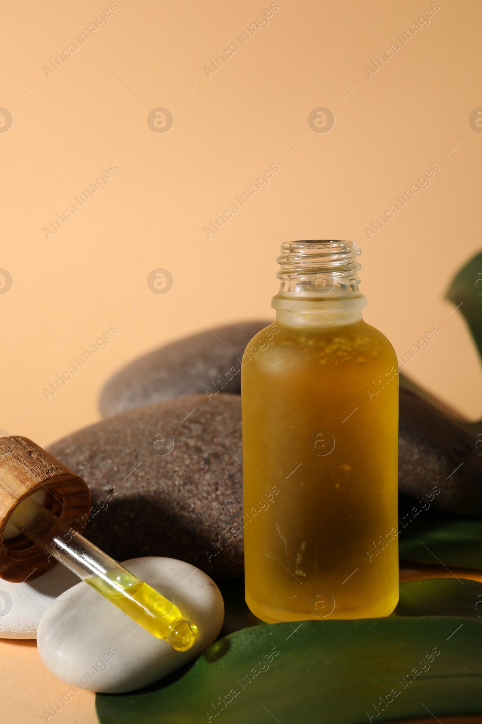 Photo of Bottle of face serum, green leaves and spa stones on beige background