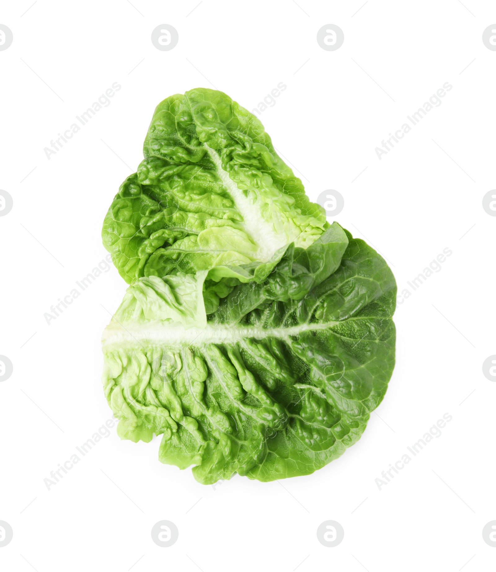 Photo of Fresh leaves of green romaine lettuce isolated on white, top view