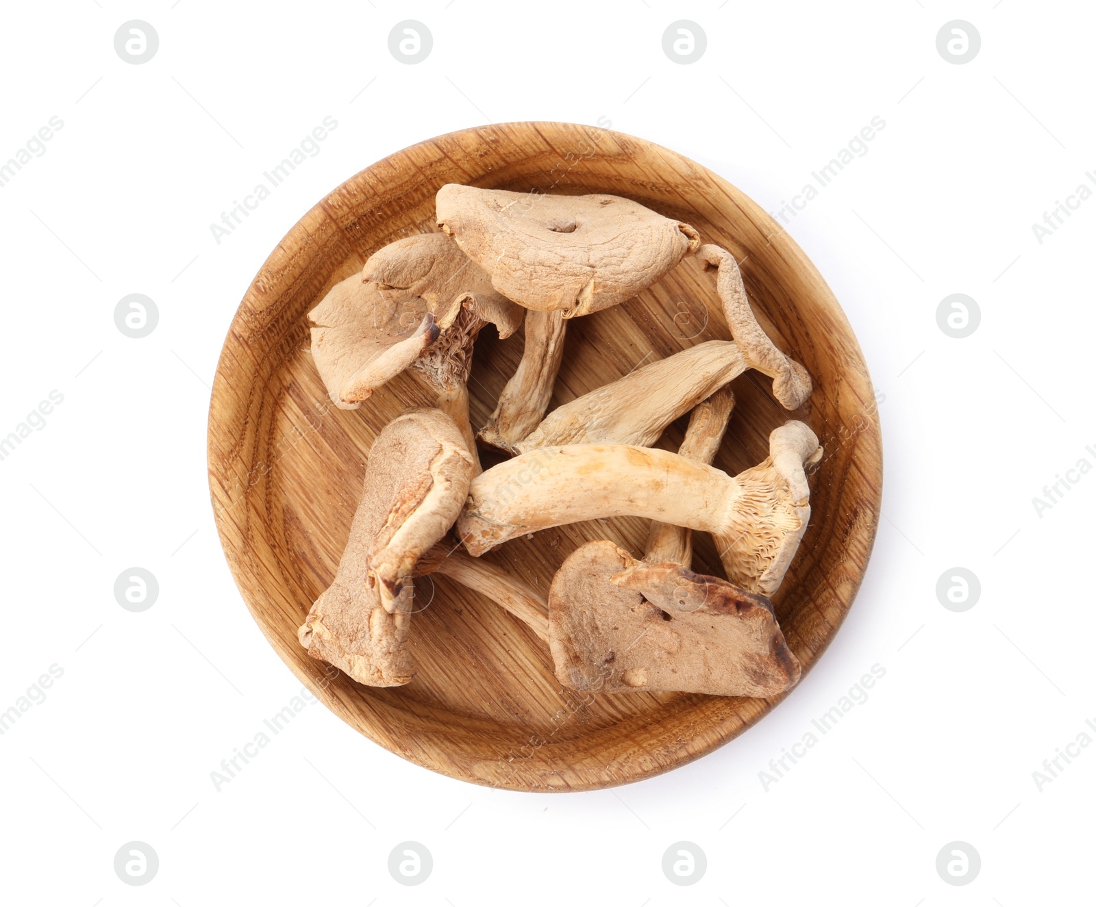 Photo of Plate of dried mushrooms isolated on white, top view