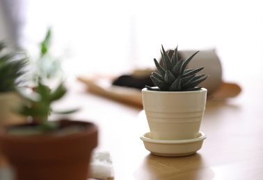 Photo of Beautiful potted plant on wooden table at home, space for text. Engaging hobby