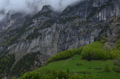 View of mountains covered by fog and green trees