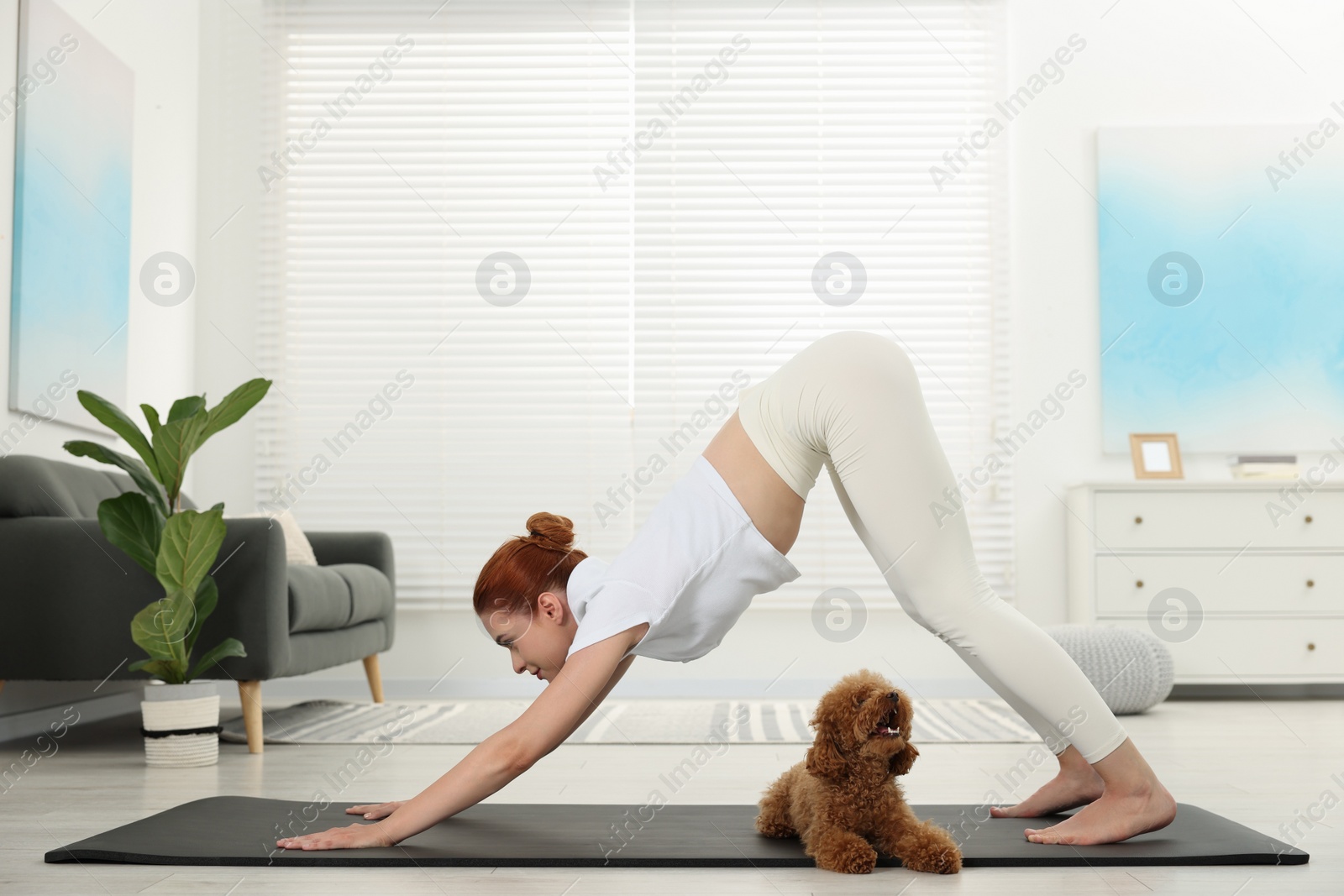 Photo of Young woman practicing yoga on mat with her cute dog at home