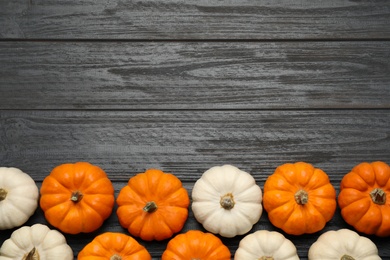 Photo of Different ripe pumpkins on black wooden table, flat lay. Space for text