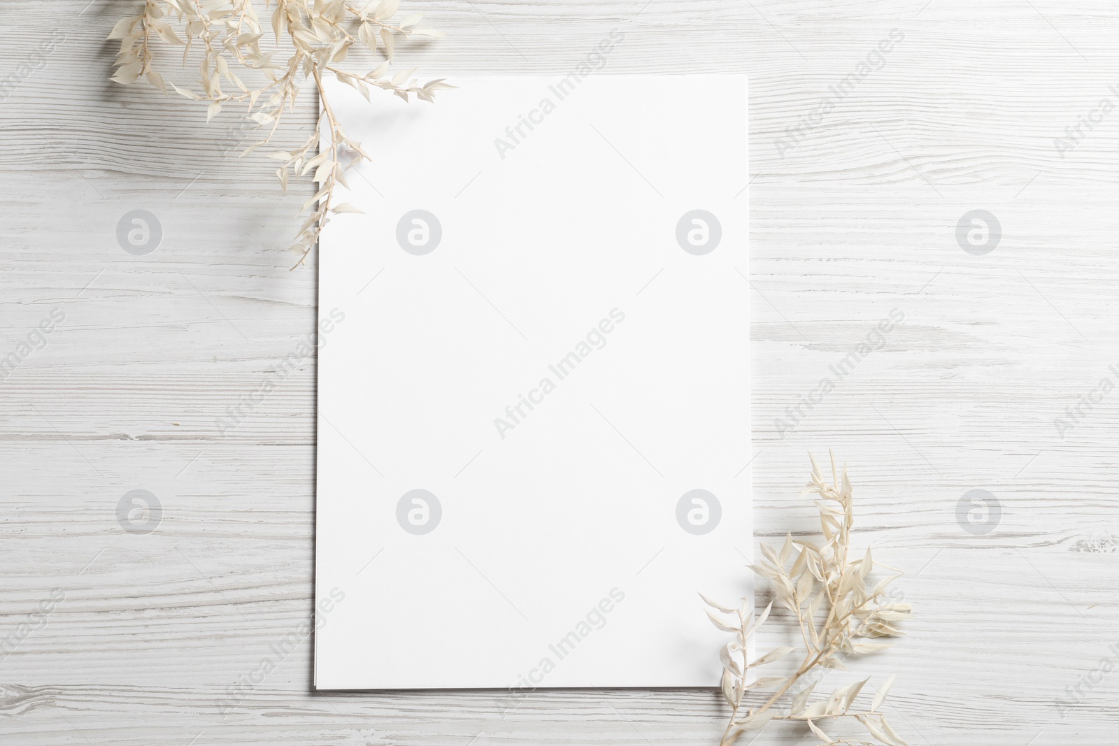 Photo of Empty sheet of paper and gypsophila flowers on white wooden table, flat lay. Mockup for design