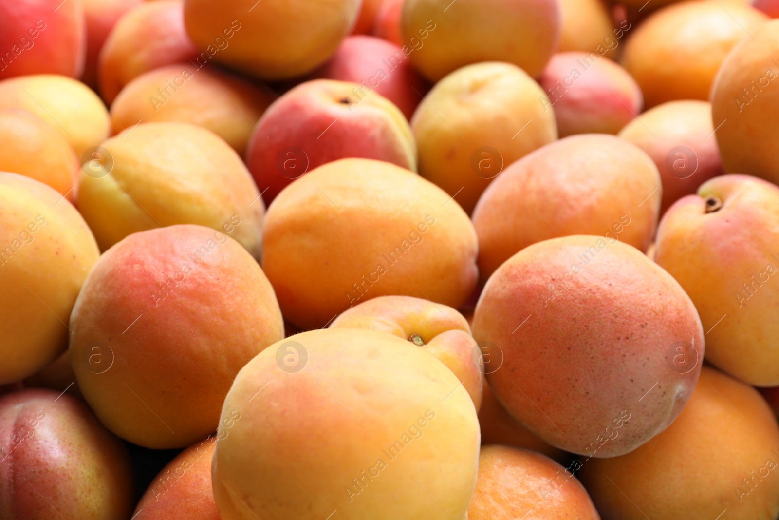 Photo of Delicious fresh ripe apricots as background, closeup