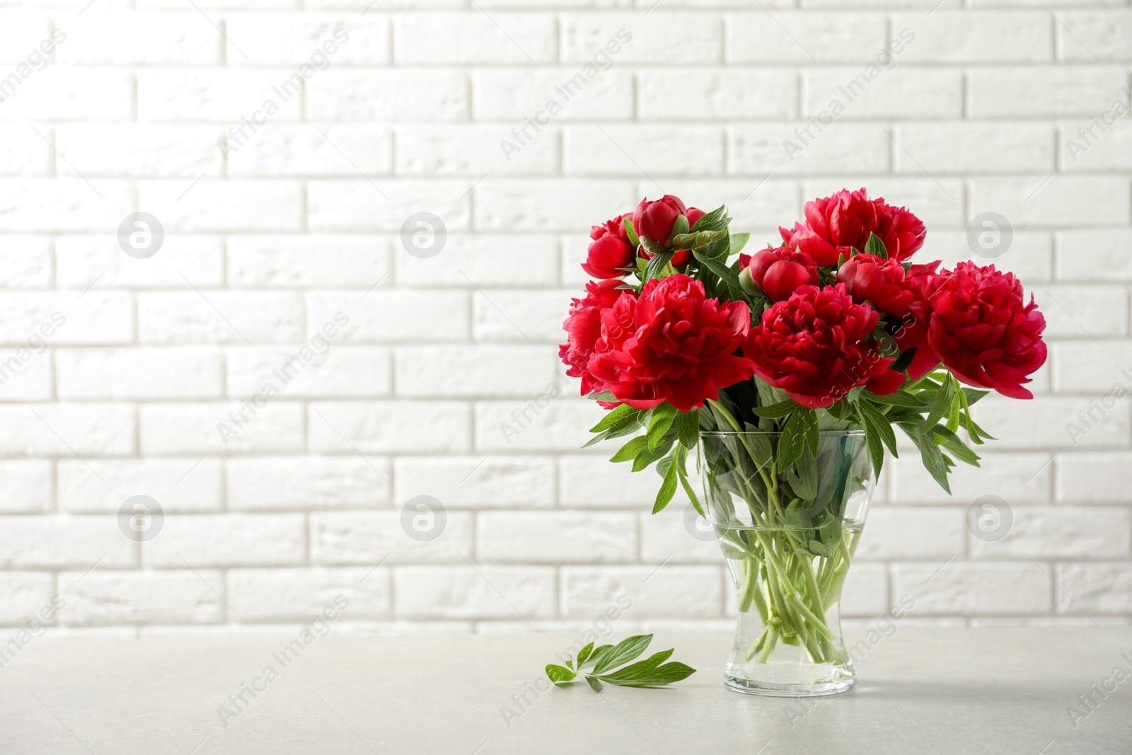 Photo of Vase with beautiful blooming peonies on table near brick wall