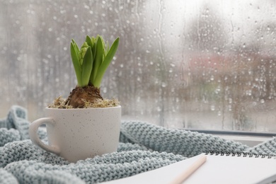 Photo of Potted hyacinth flower and notebook with pencil on plaid near window. Space for text