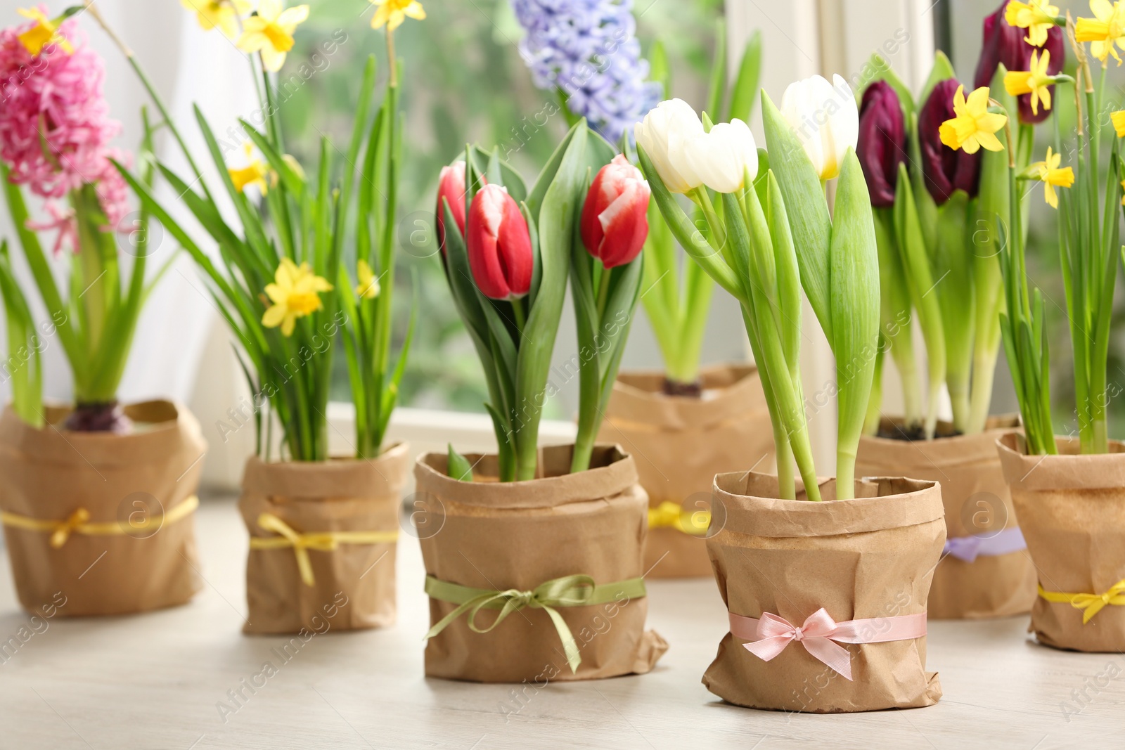 Photo of Beautiful spring flowers in wrapped pots on white wooden window sill