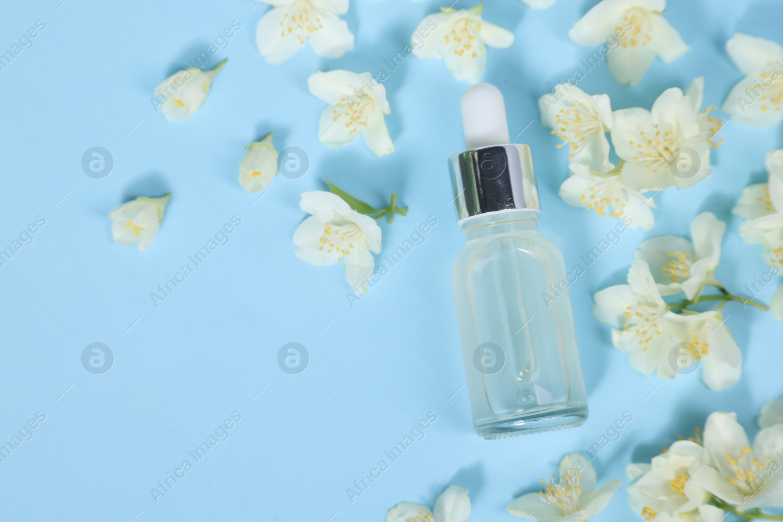 Photo of Essential oil in bottle and beautiful jasmine flowers on light blue background, flat lay. Space for text