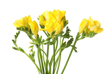 Bouquet of fresh freesia flowers isolated on white