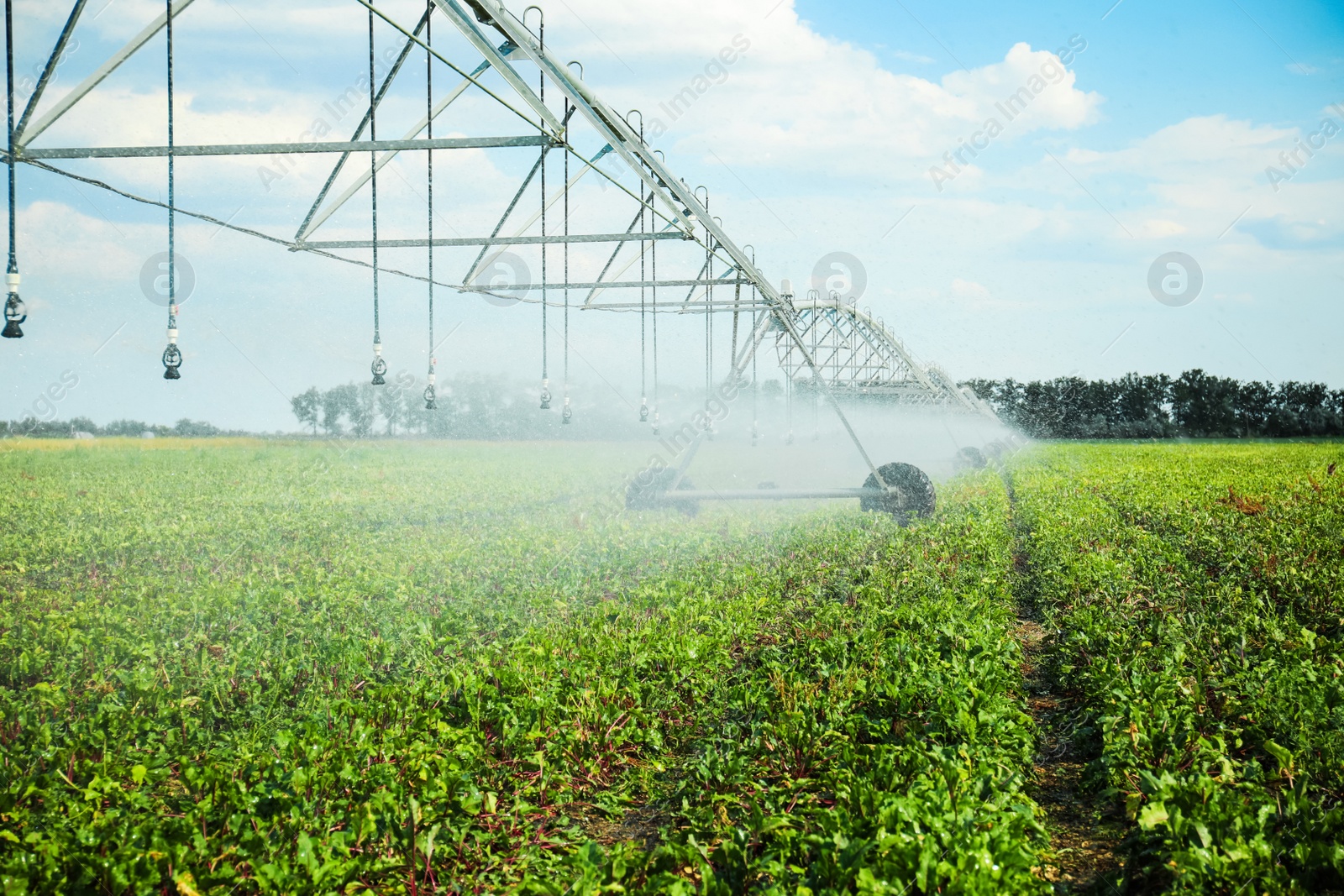 Photo of Center pivot irrigation system watering agricultural field 