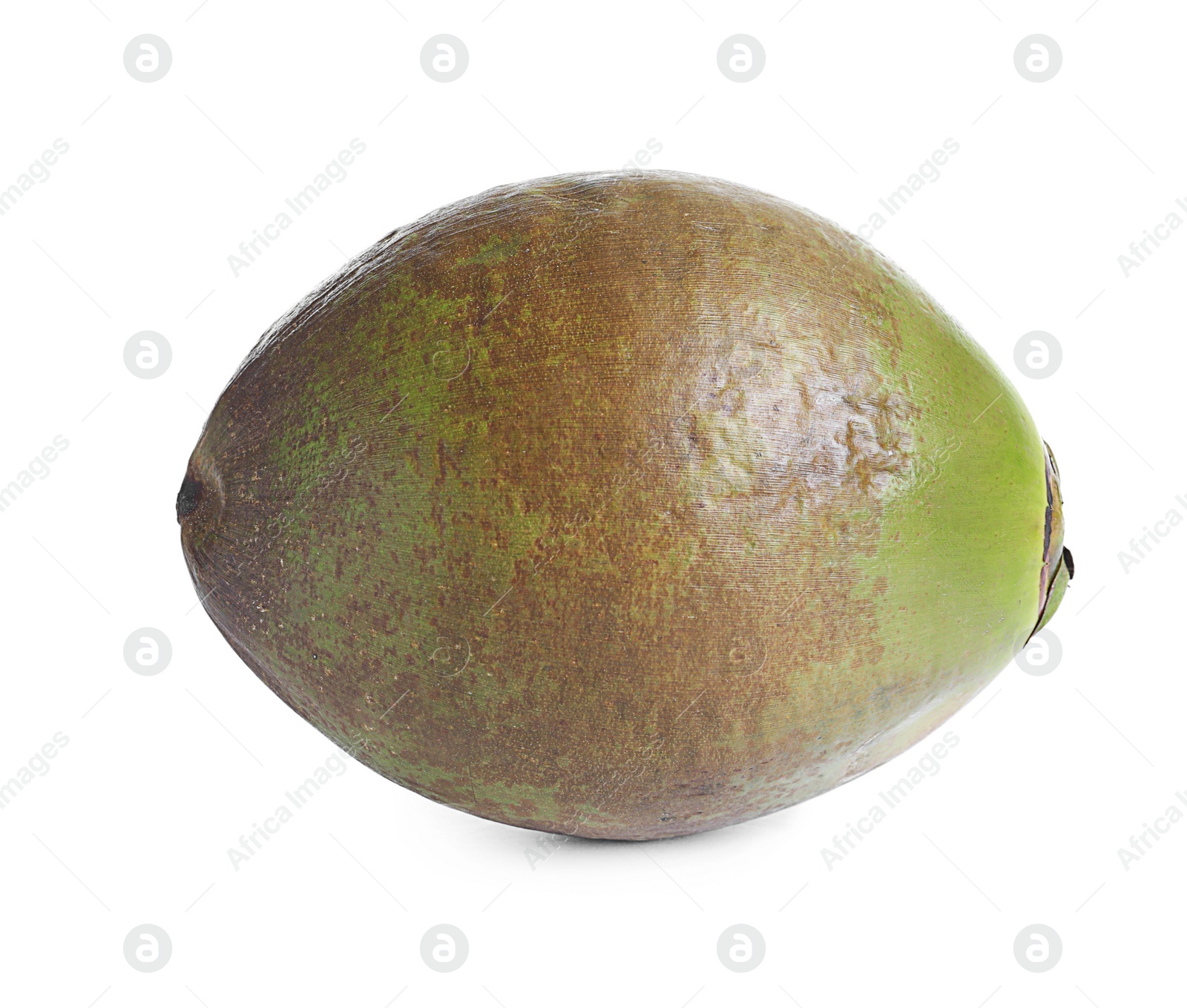 Photo of Fresh green coconut on white background