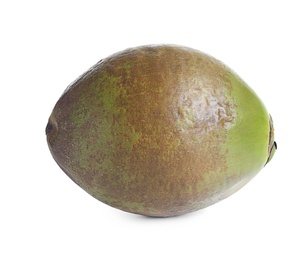 Photo of Fresh green coconut on white background