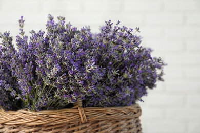 Photo of Bouquet of fresh lavender flowers in basket against white brick wall, closeup view
