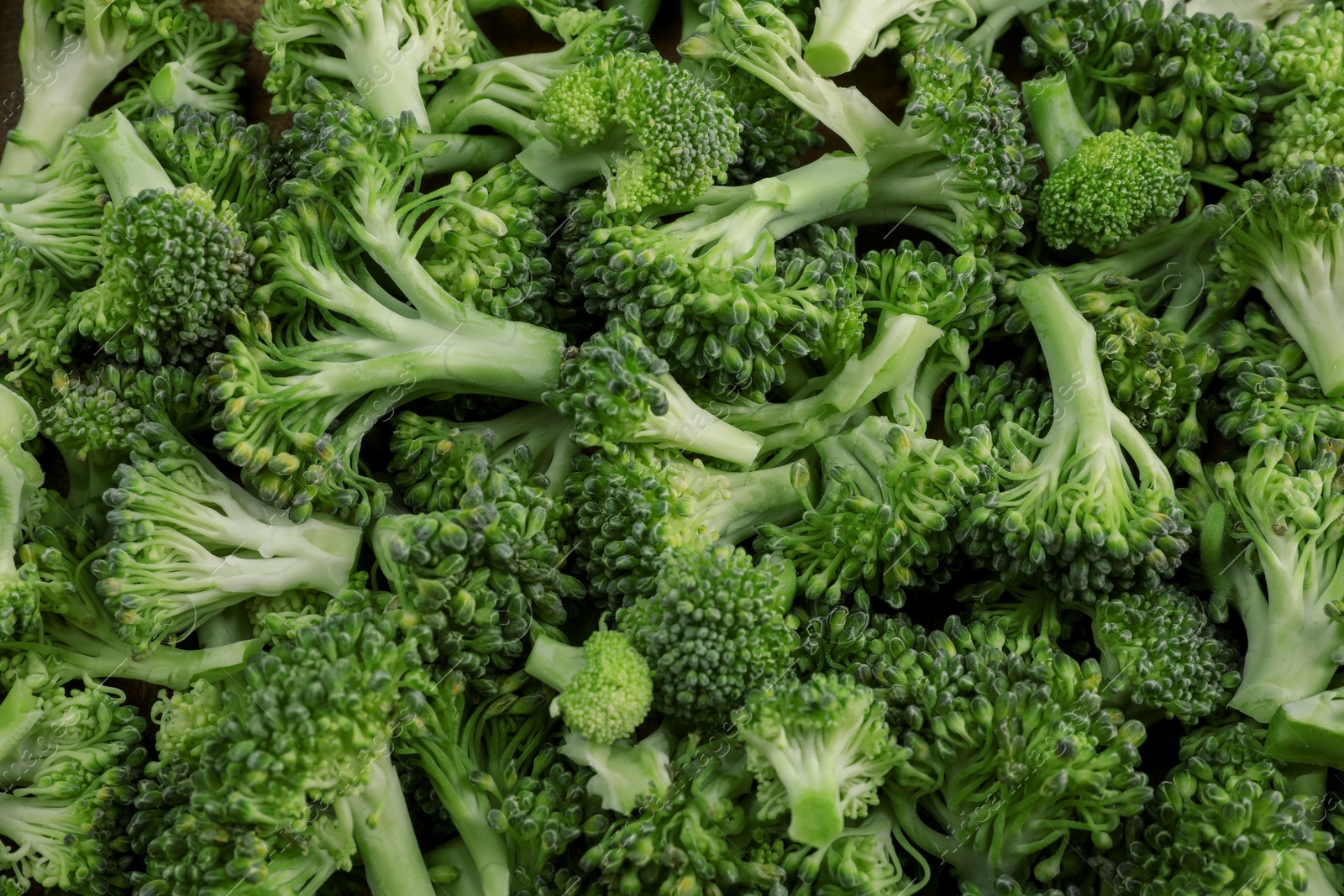 Photo of Fresh raw broccoli as background, top view