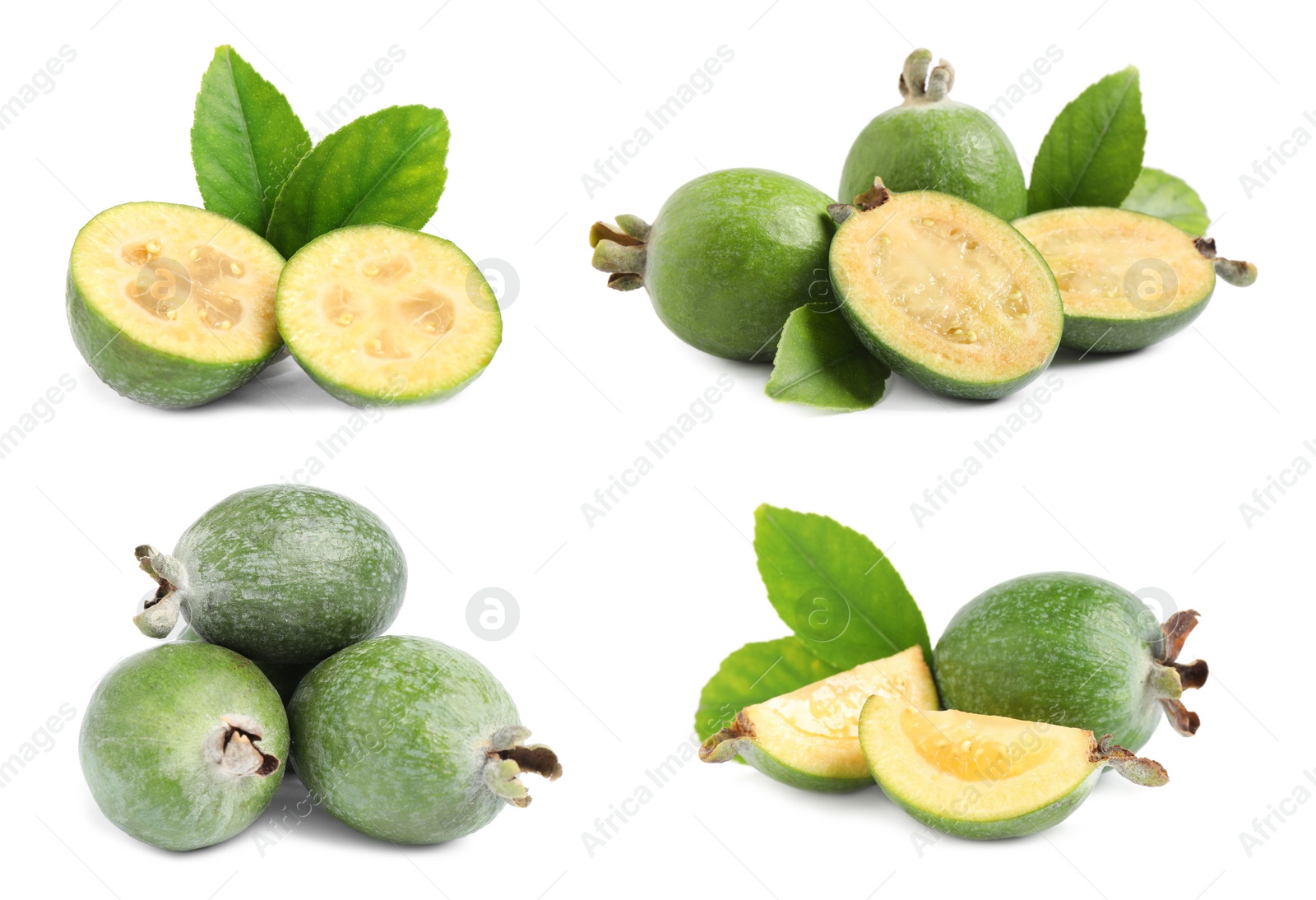 Image of Set of fresh ripe feijoas on white background