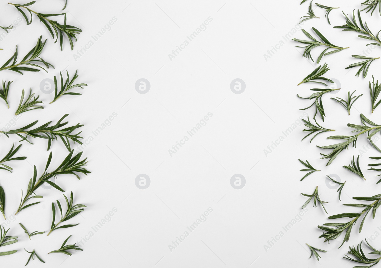 Photo of Composition with fresh rosemary on white background, top view