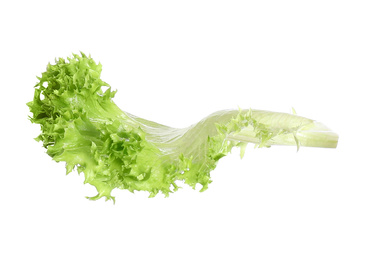 Photo of Fresh green lettuce isolated on white. Sandwich ingredient
