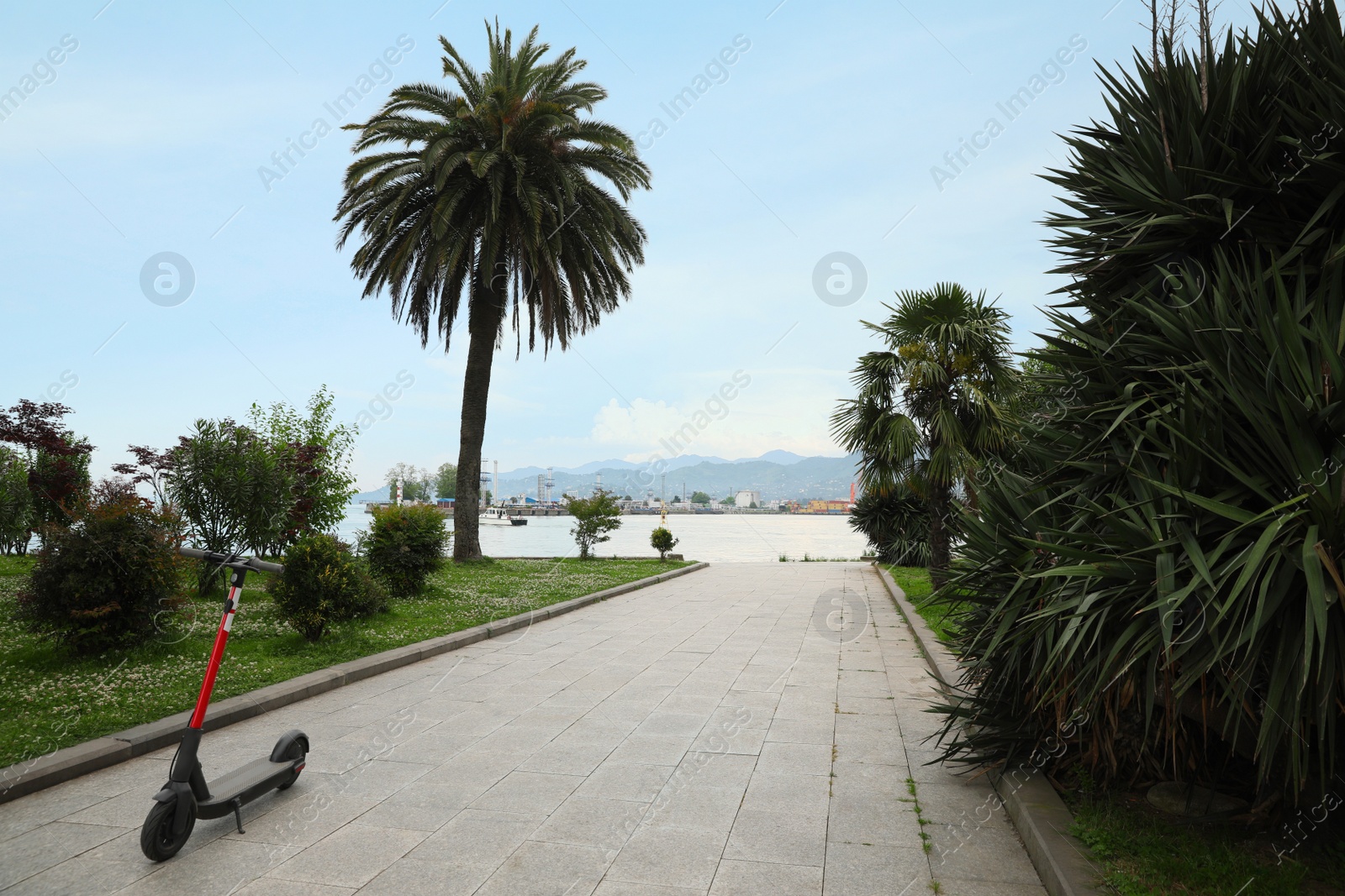 Photo of Modern electric kick scooter on pathway in park