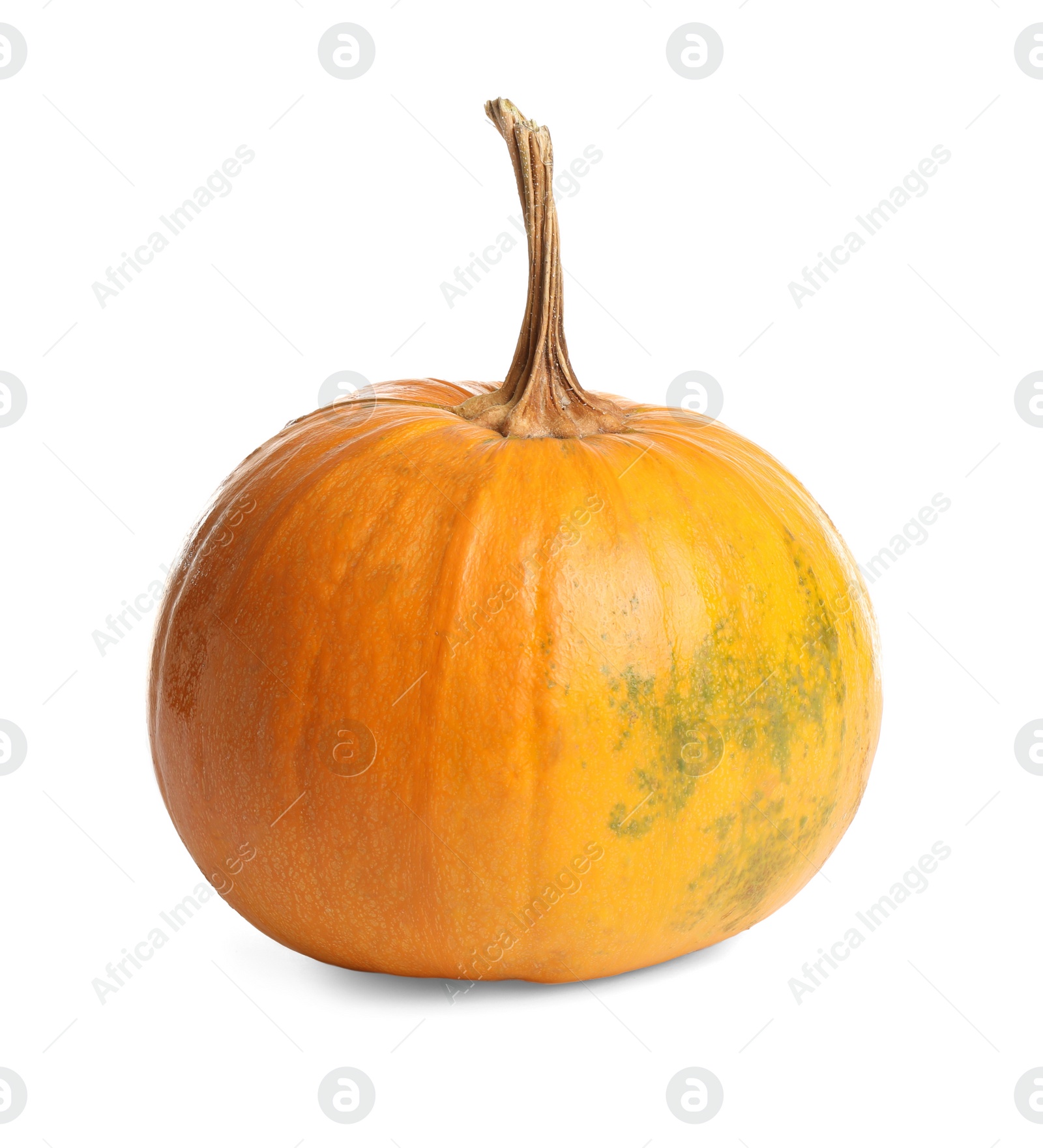 Photo of Fresh ripe pumpkin isolated on white. Organic plant