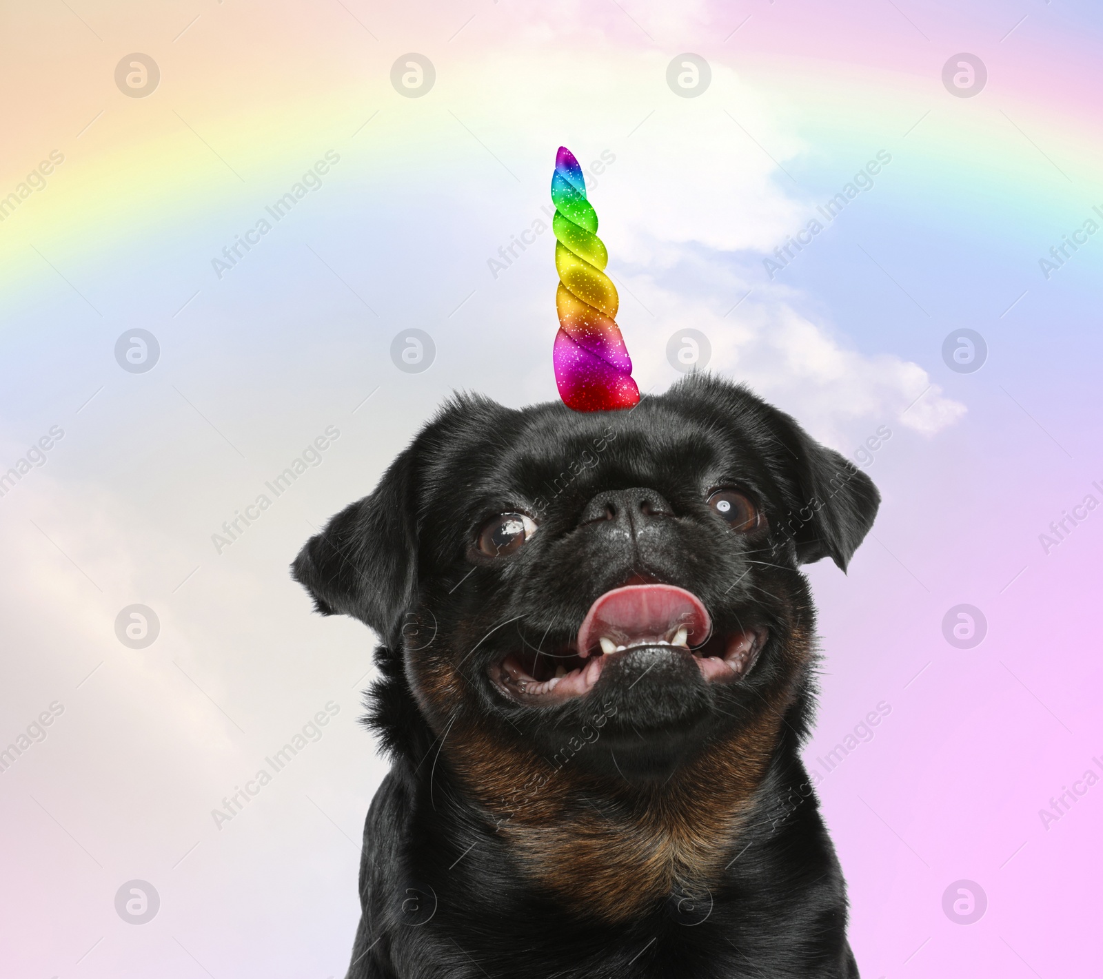 Image of Cute dog with rainbow unicorn horn on color background