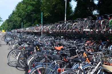 Photo of Many modern bicycles parked on city street