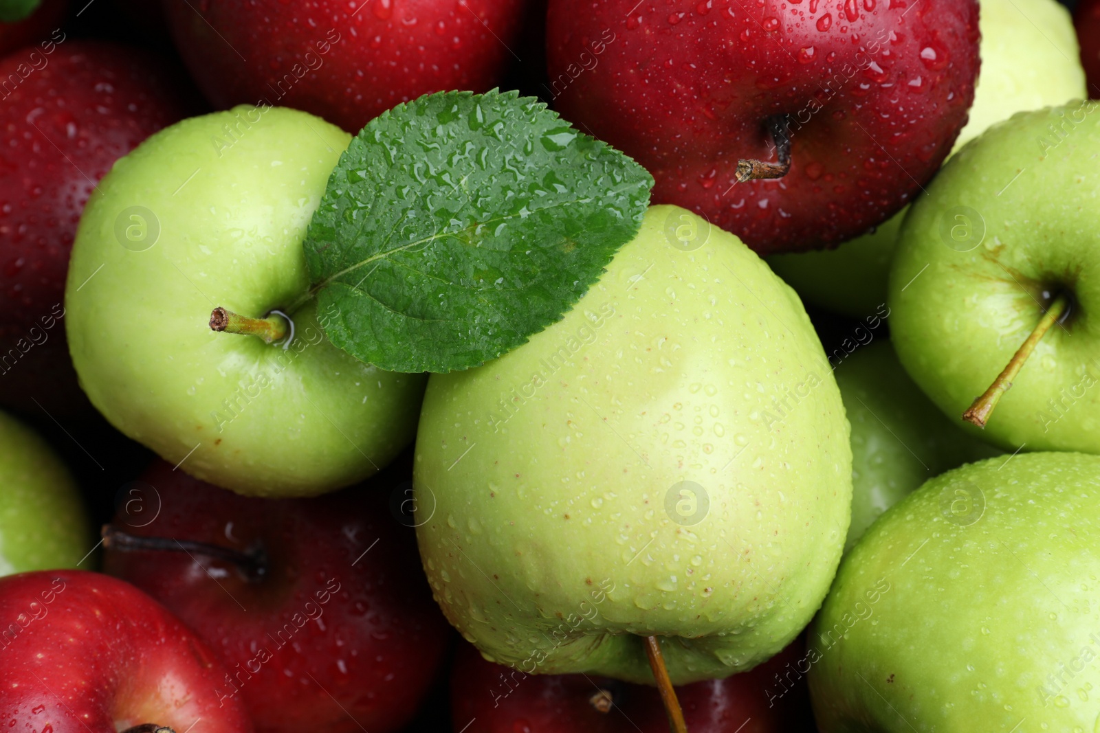 Photo of Fresh ripe green and red apples with water drops as background, top view