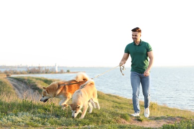 Photo of Young man walking his adorable Akita Inu dogs near river